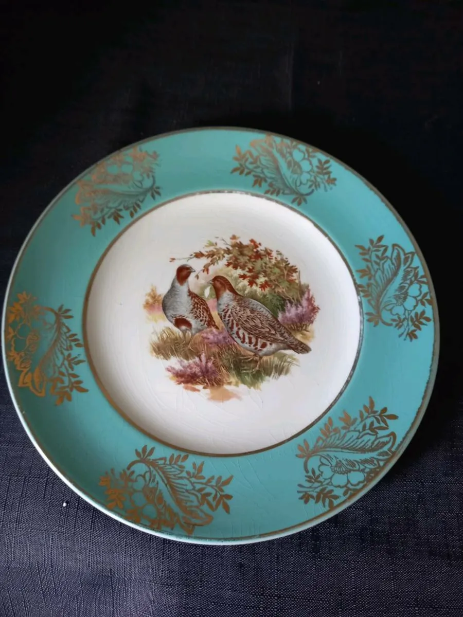 Turquoise Colour Quail Plate - Image 1