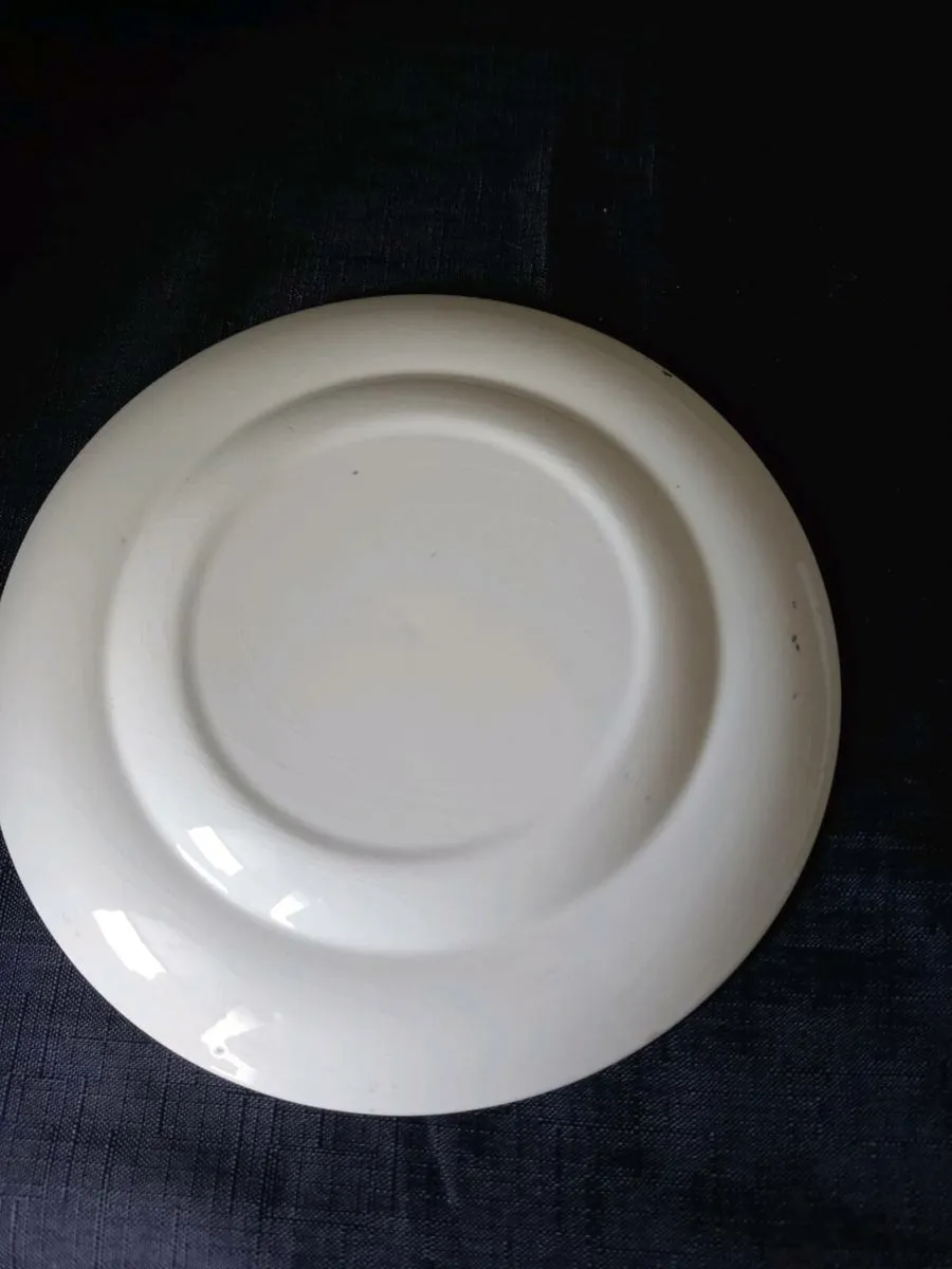 Turquoise Colour Quail Plate - Image 2