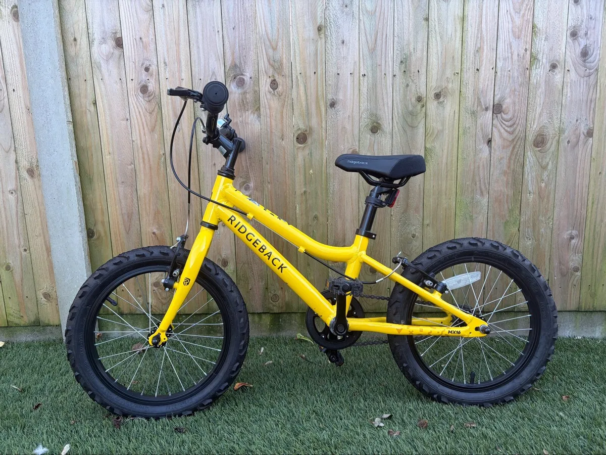 Ridgeback Dimension 14 kids bike - Image 1