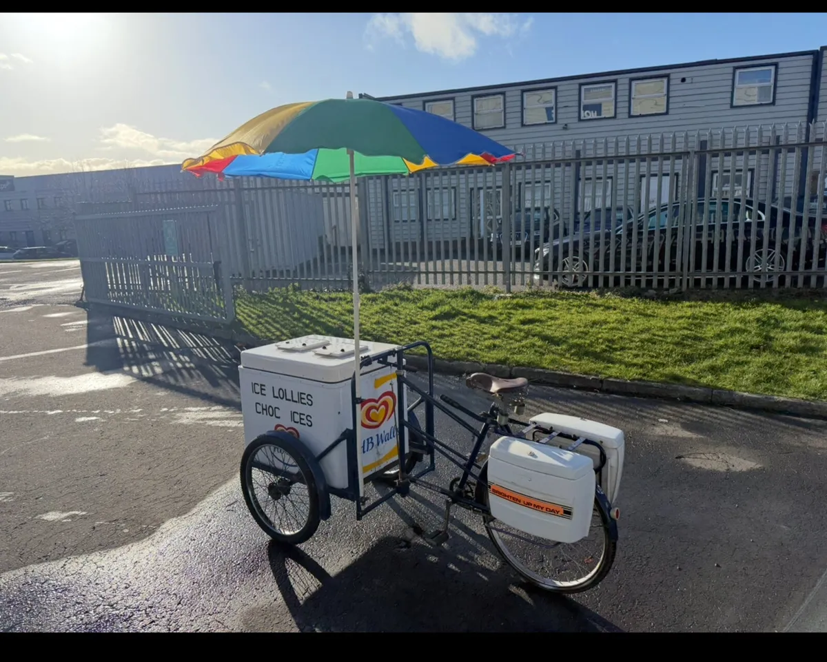 Selection of Adult men’s & lady’s bike - Image 2