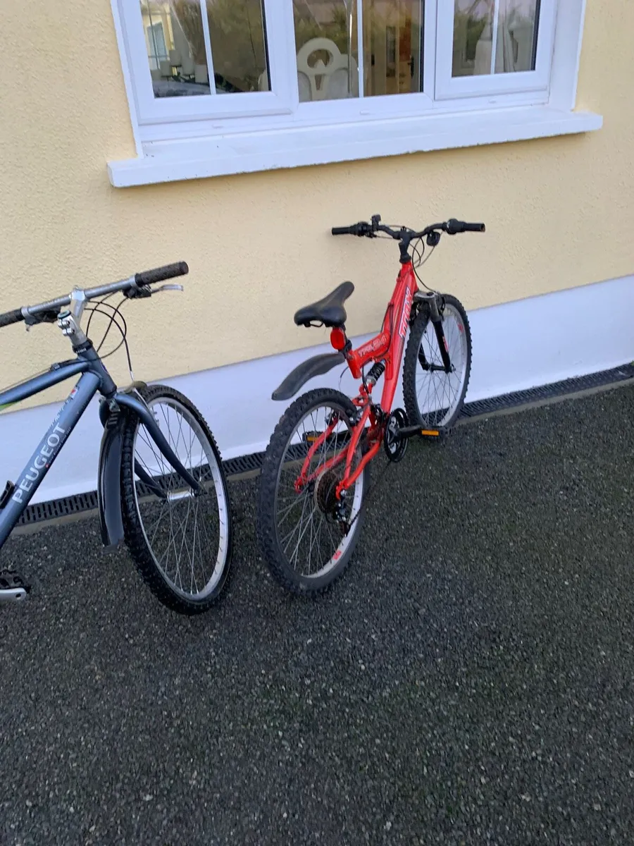 2 bikes - Image 4