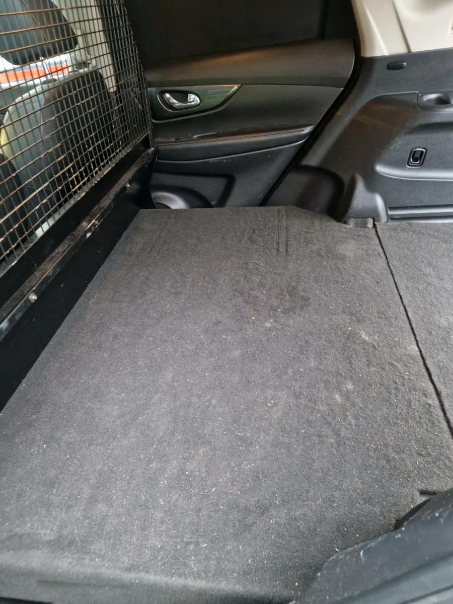 Nissan  x trail SVE commercial - Image 3