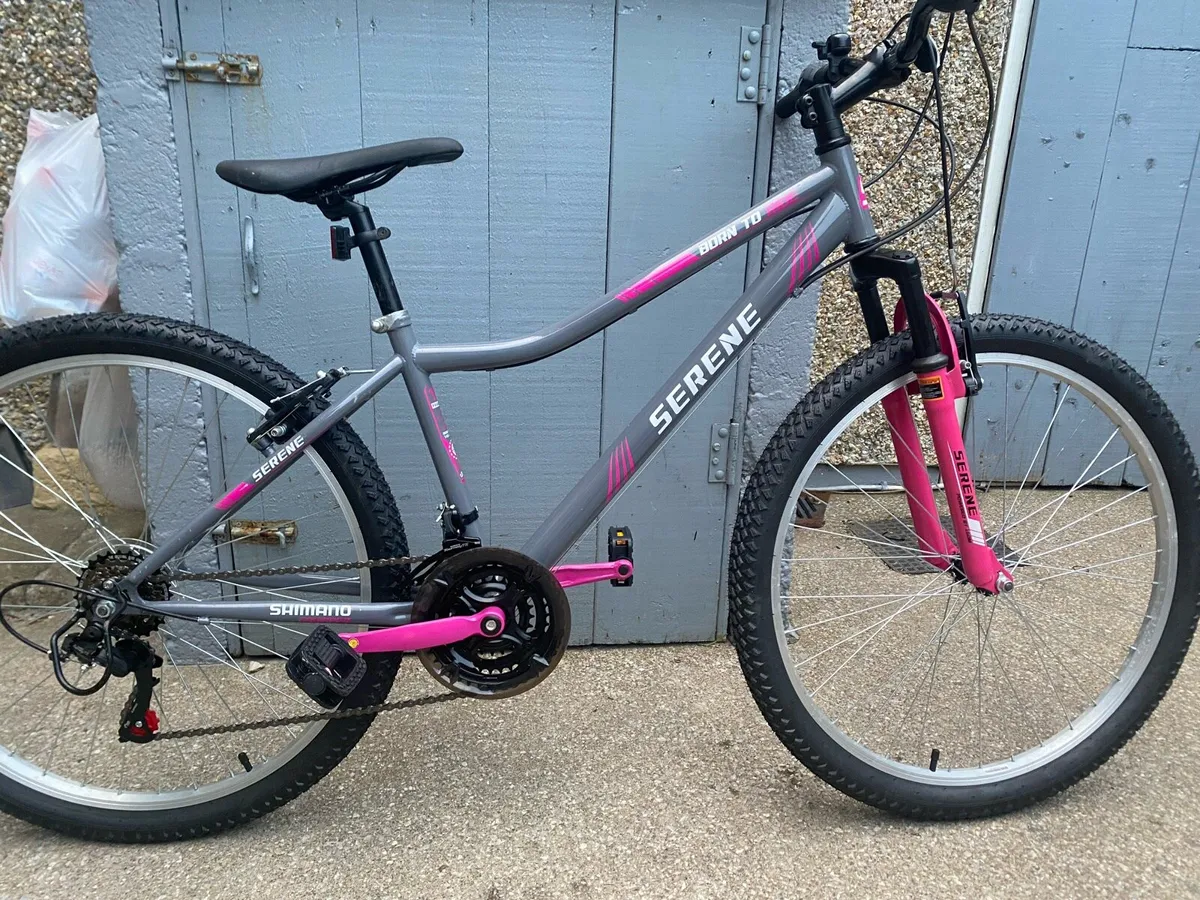 Serene Bike - Image 1