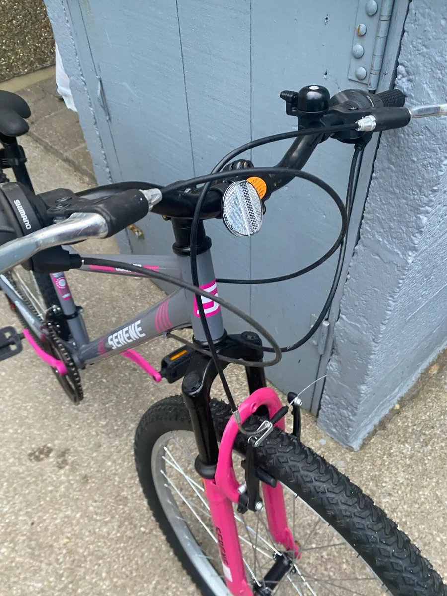 Serene Bike - Image 4