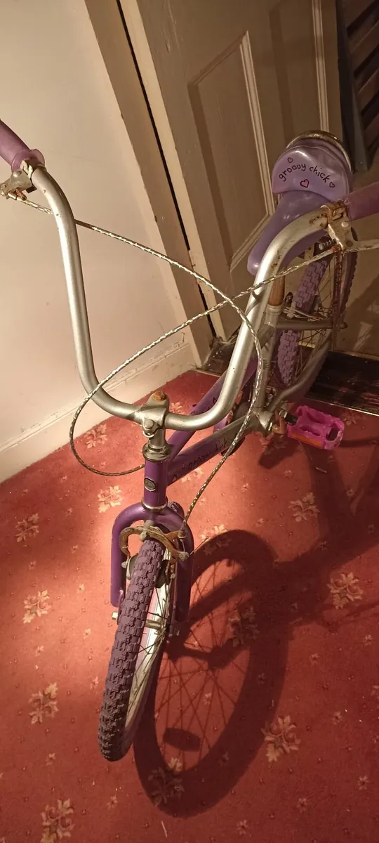 Groovy Chic Girls Bike - Image 1