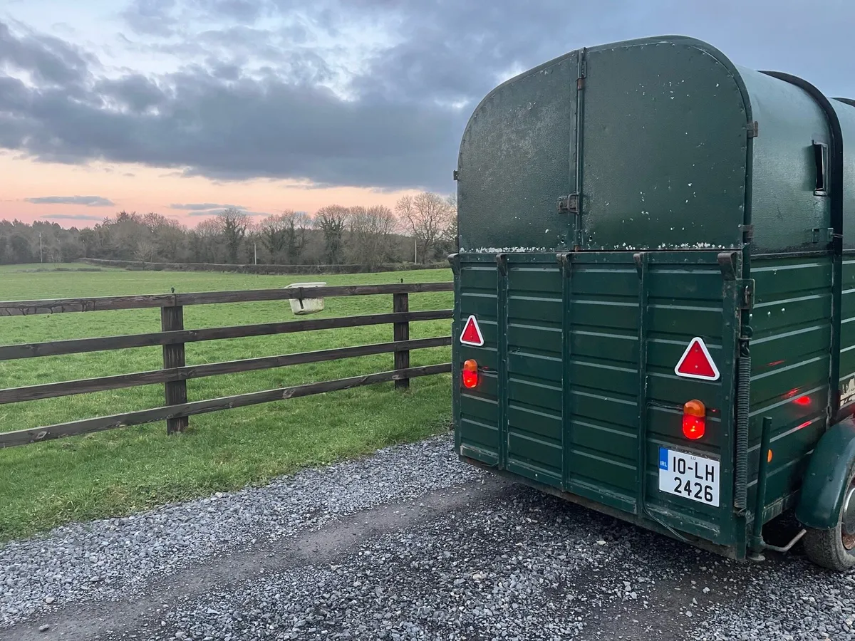 Mobile Catering Trailer Rice Horsebox - Image 3
