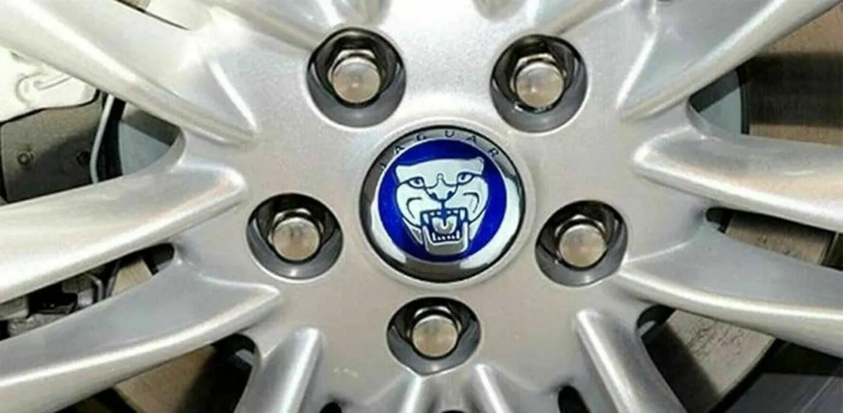 Blue Jaguar Caps - FREE POST - Image 4