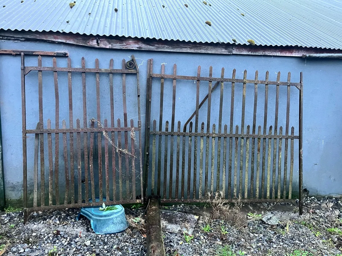 Gates and railings - Image 1