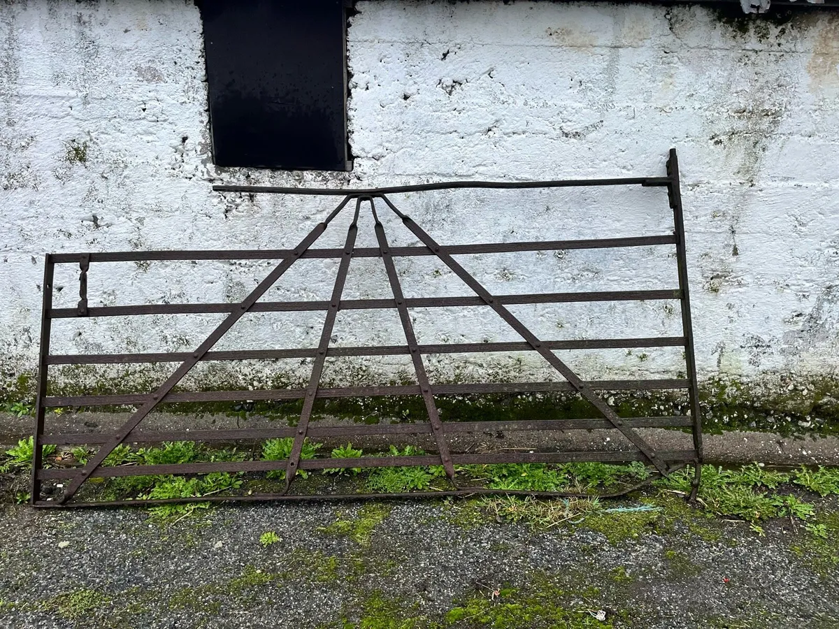 Gates and railings - Image 4