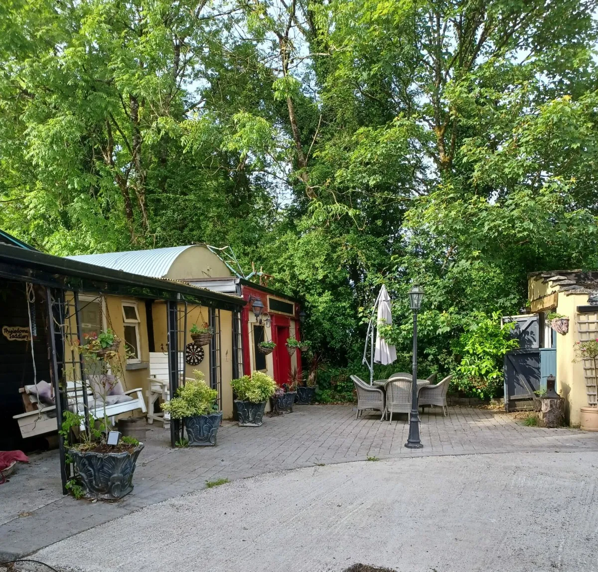 Equine livery - Image 2