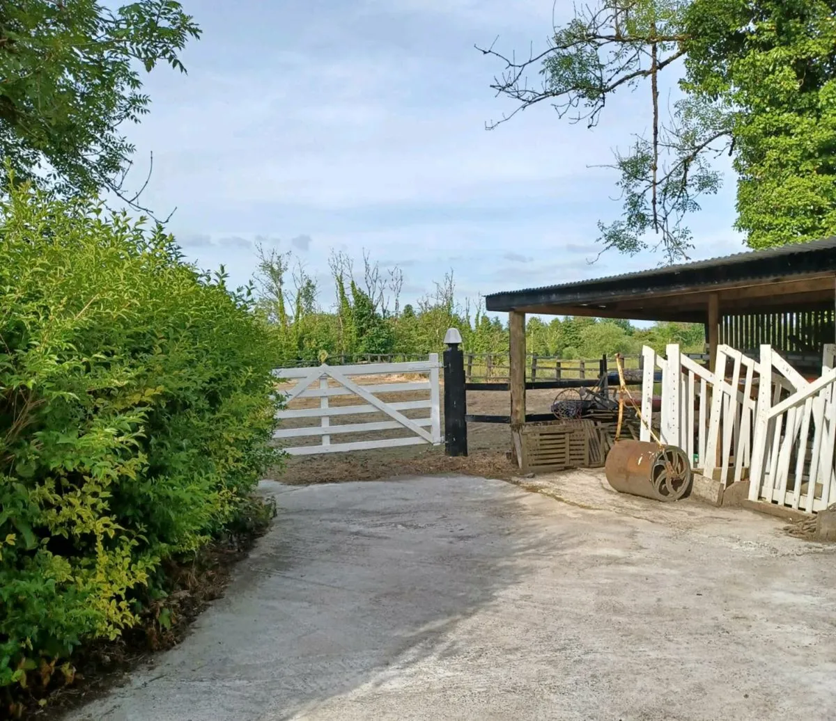 Equine livery - Image 3