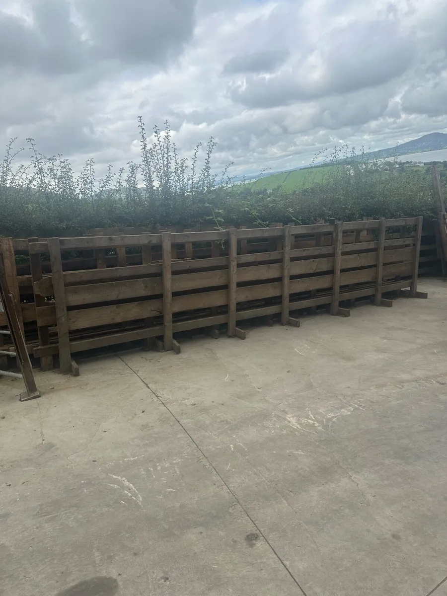 Timber Sheep Slats and Walkway Feeders - Image 3