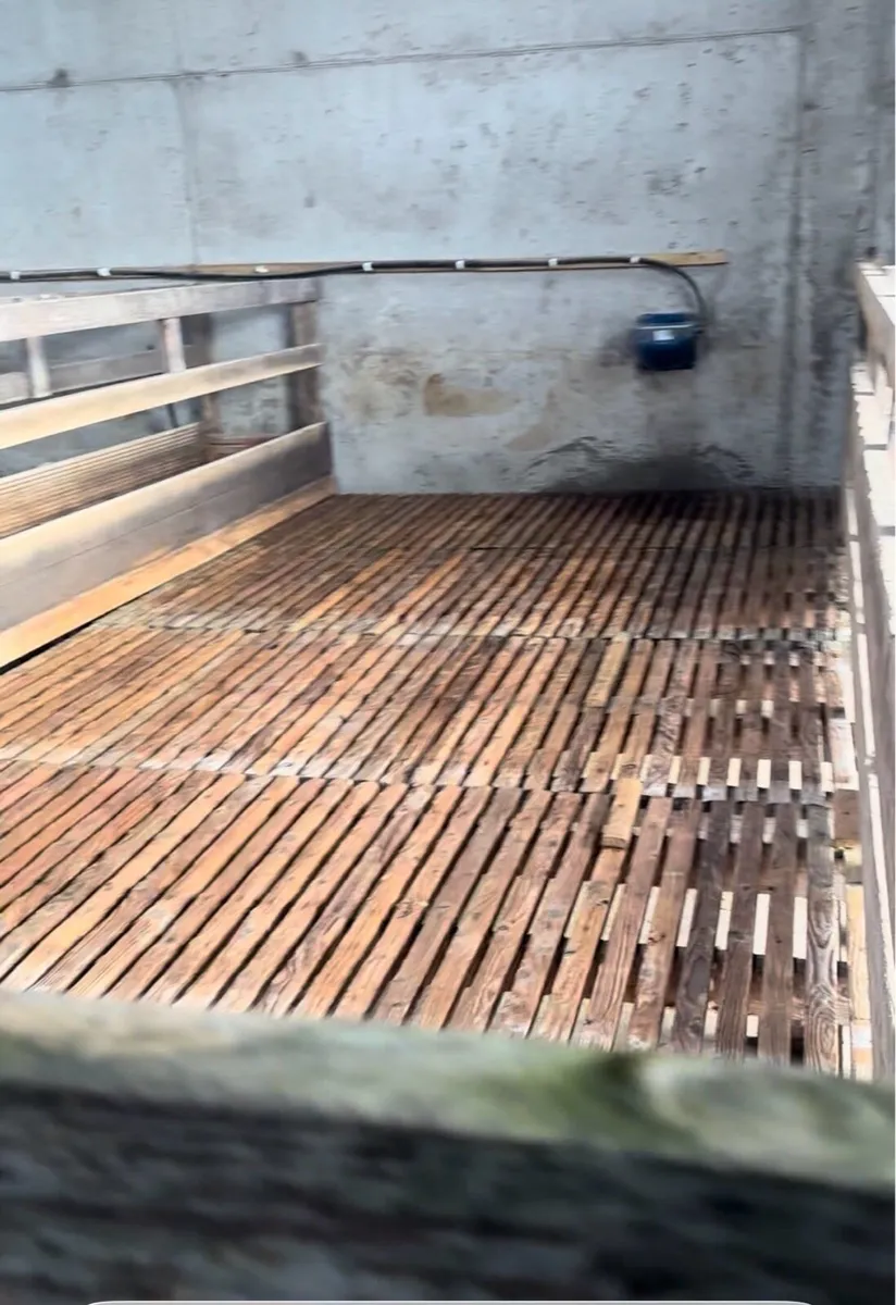 Timber Sheep Slats and Walkway Feeders - Image 4