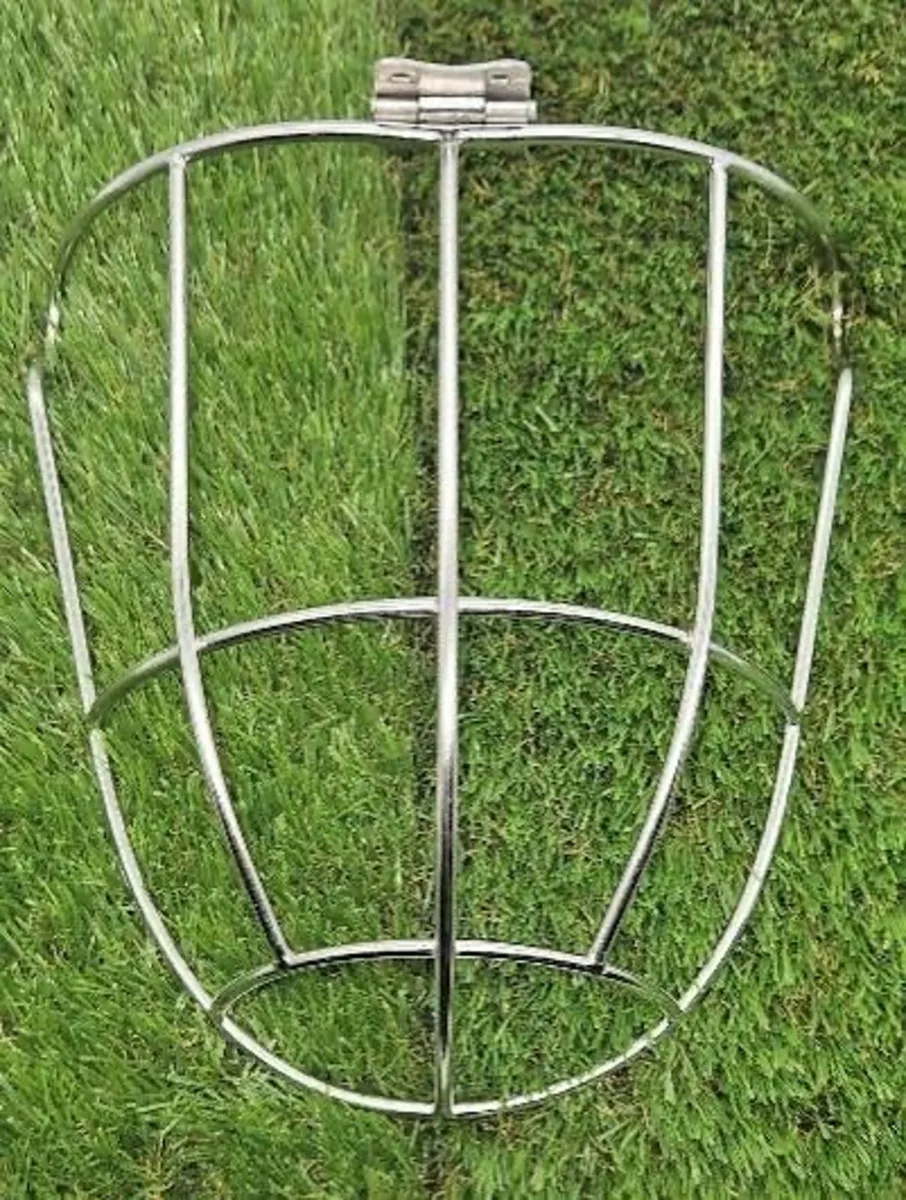 Kilkenny / Thurles Guards - Image 2