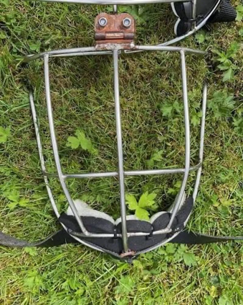 Kilkenny / Thurles Guards - Image 3