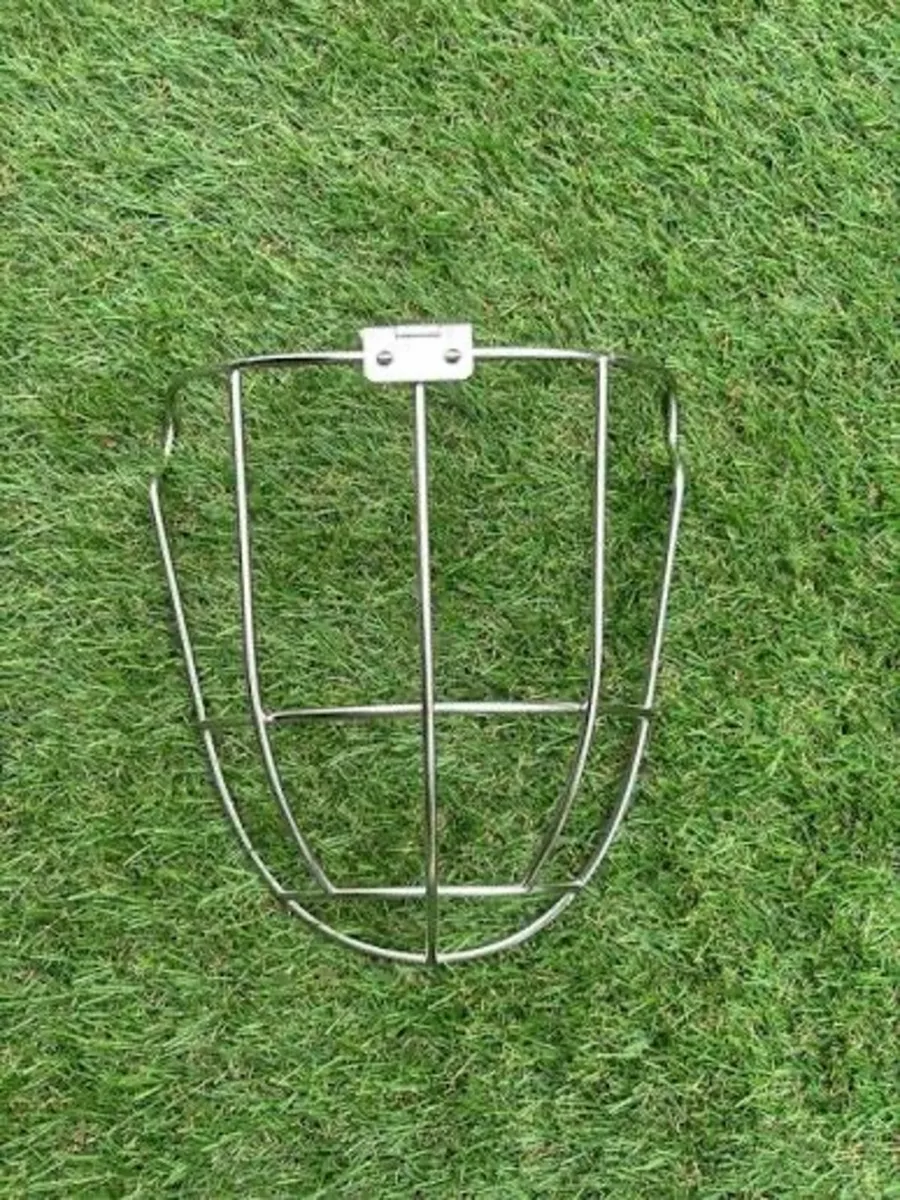 Kilkenny / Thurles Guards - Image 4