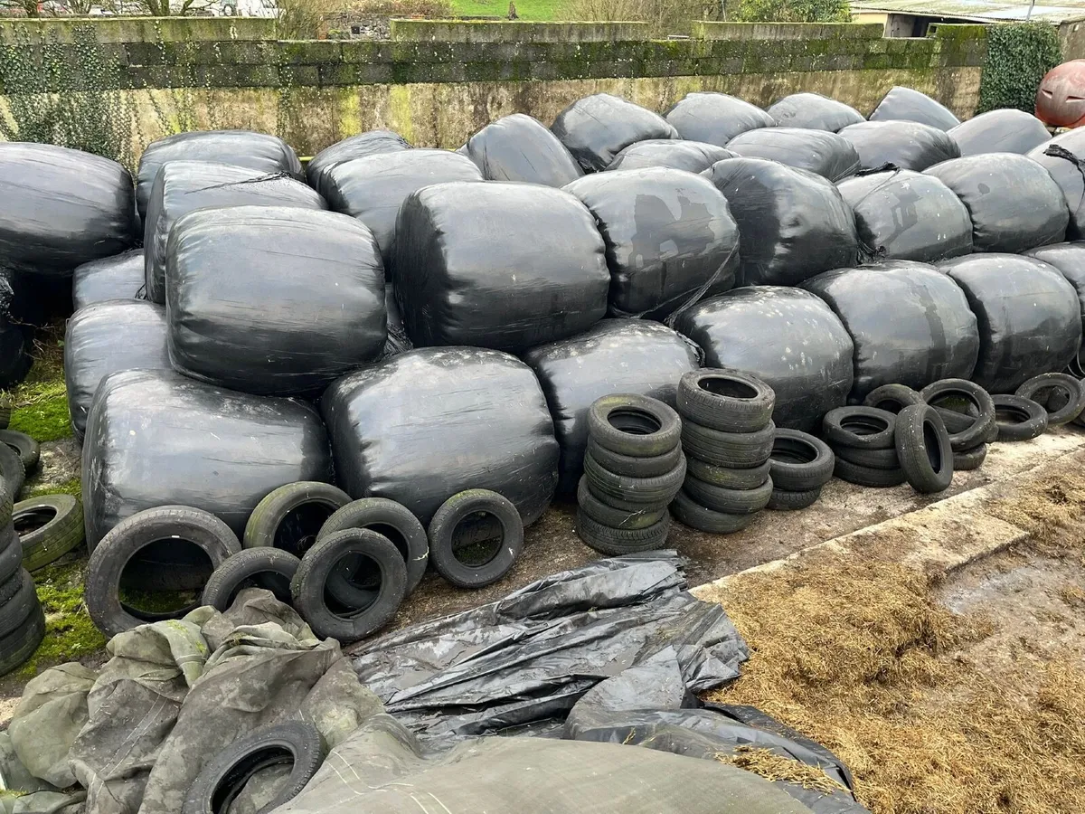 Silage bales - Image 1