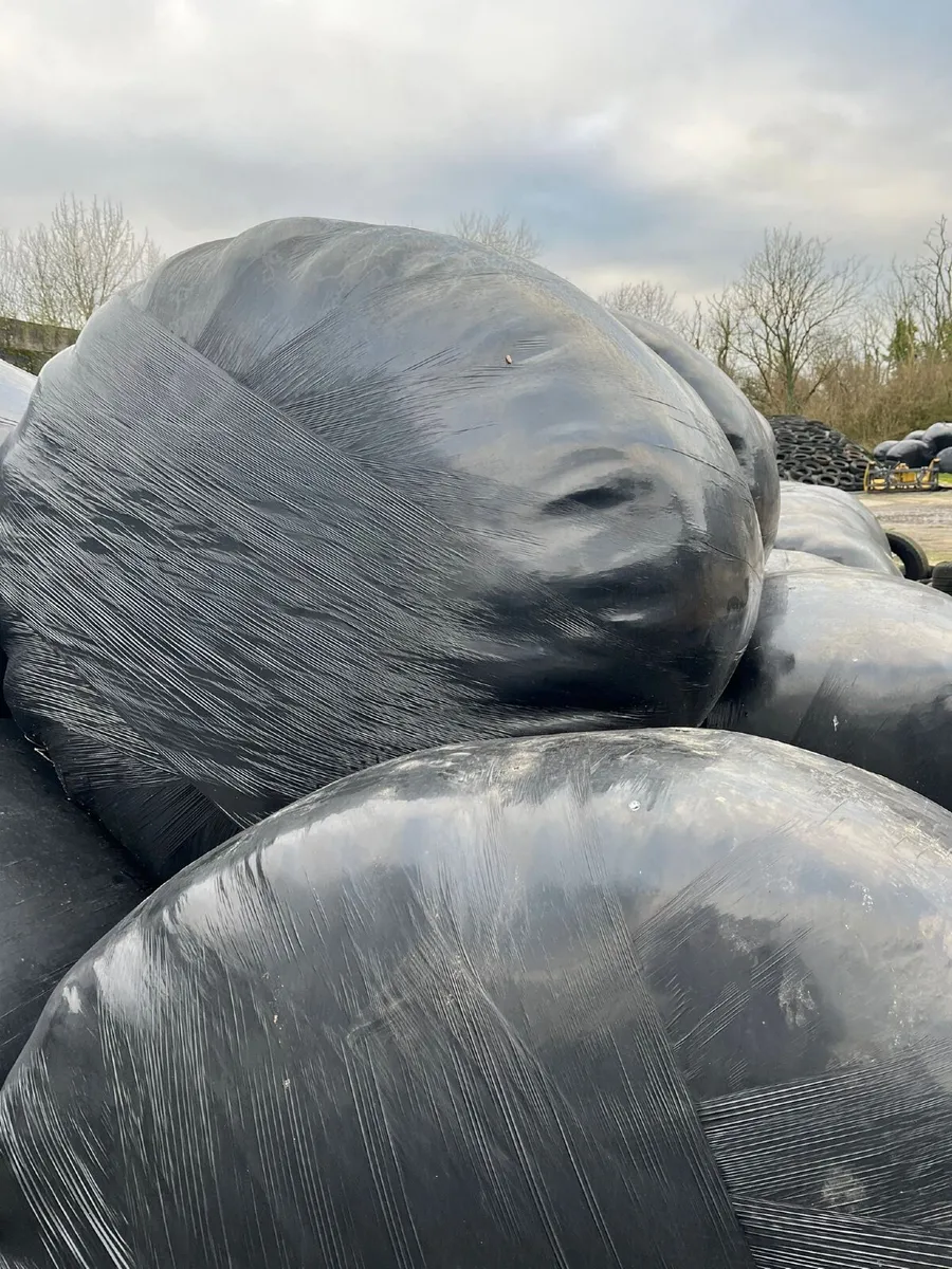 Silage bales - Image 2