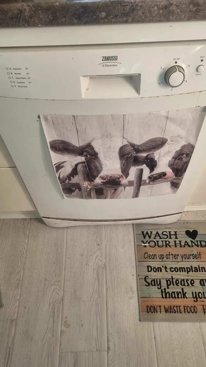 Dishwasher Zanussi - Image 1