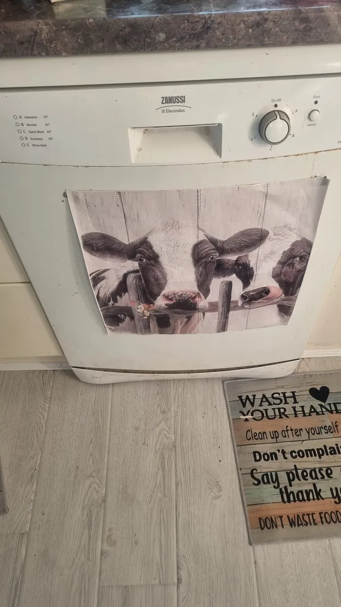 Dishwasher Zanussi - Image 4