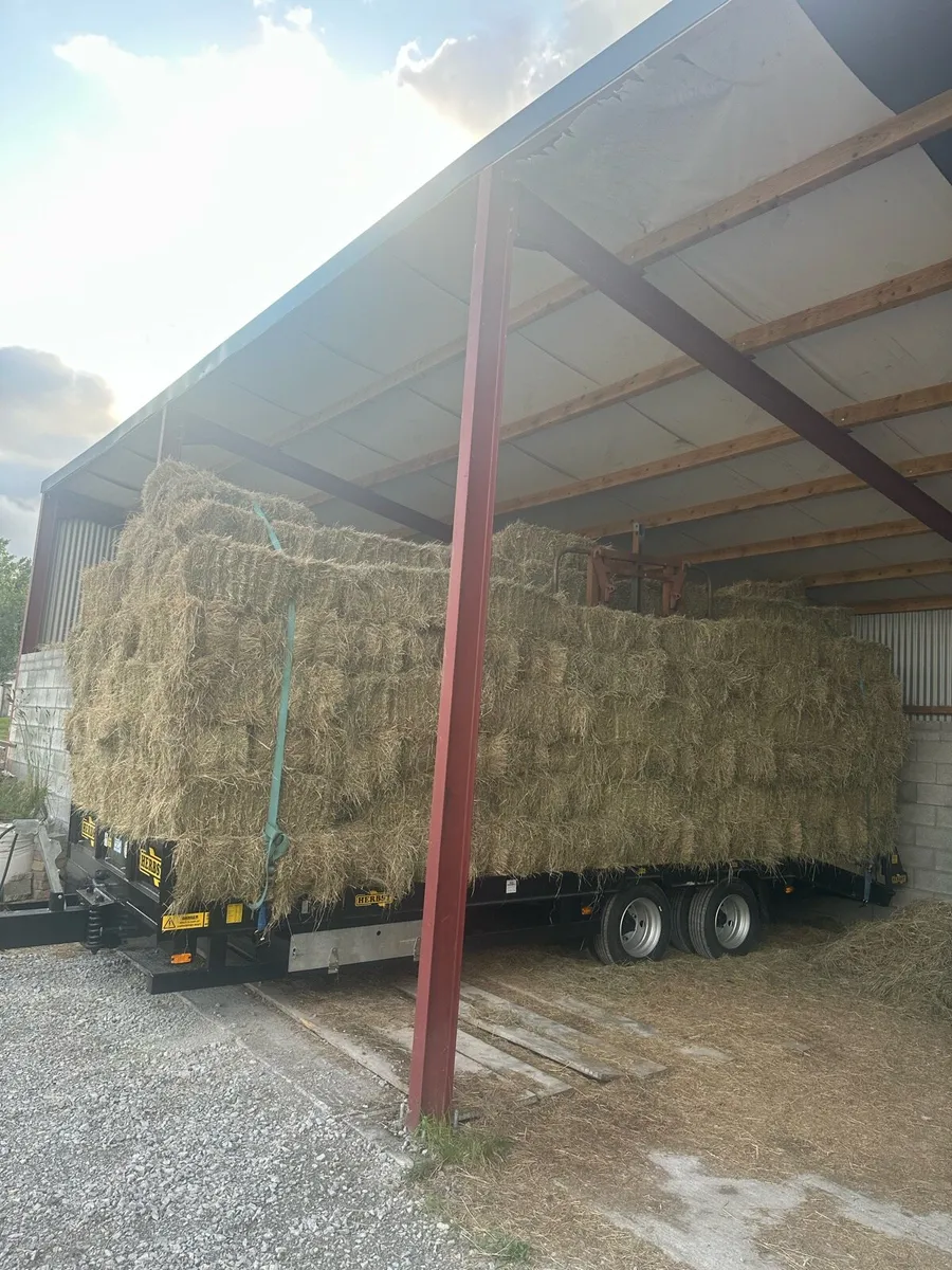 Top Quality Small Square Bales - Image 1
