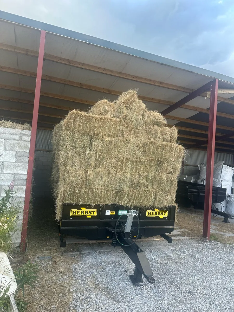 Top Quality Small Square Bales - Image 2