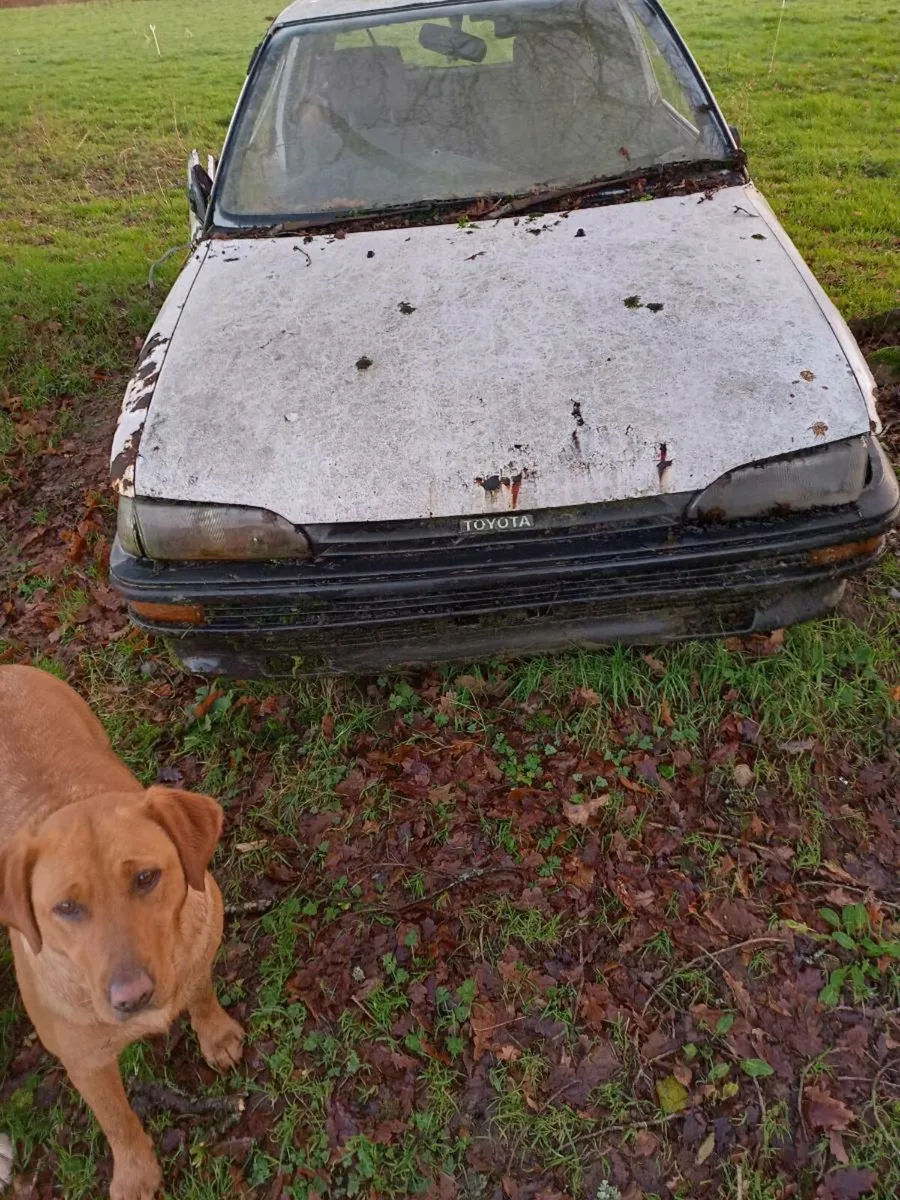 Corolla van - Image 2