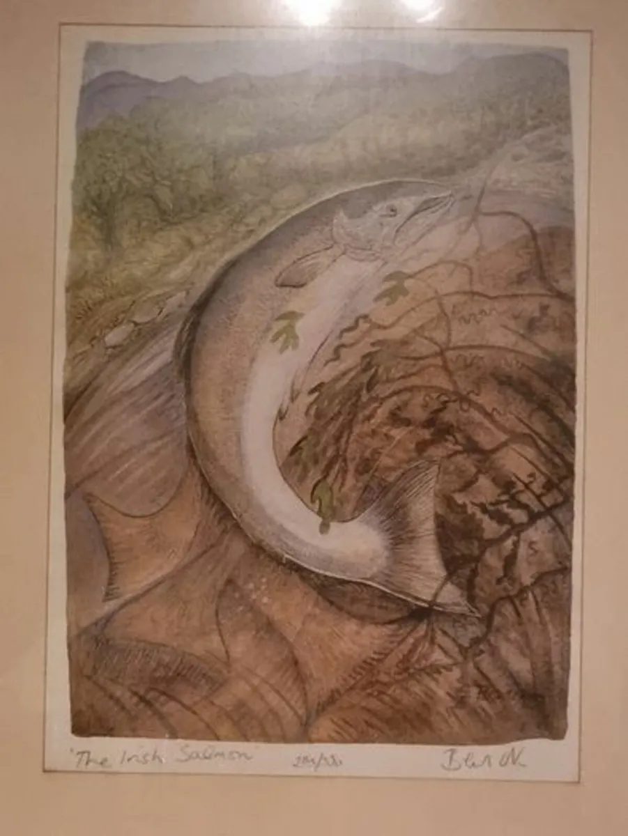 Pauline Bewick - The Irish Salmon - Image 1