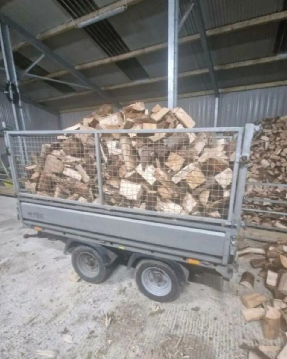 F I r e w o o d - Image 3