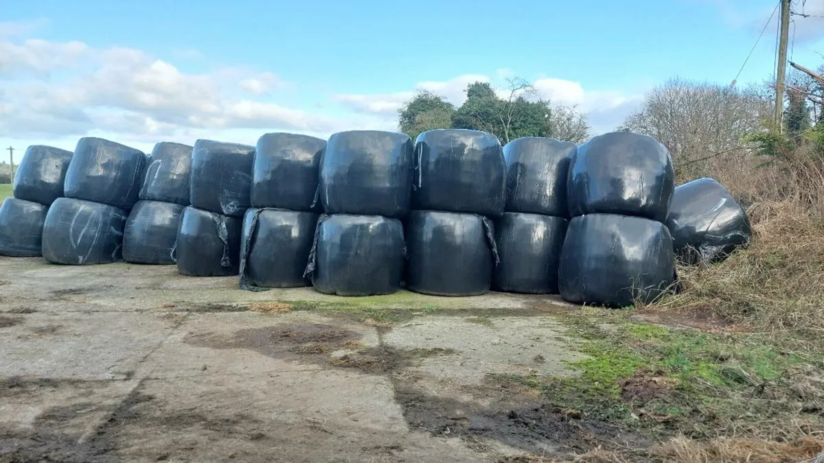 Silage bales - Image 3