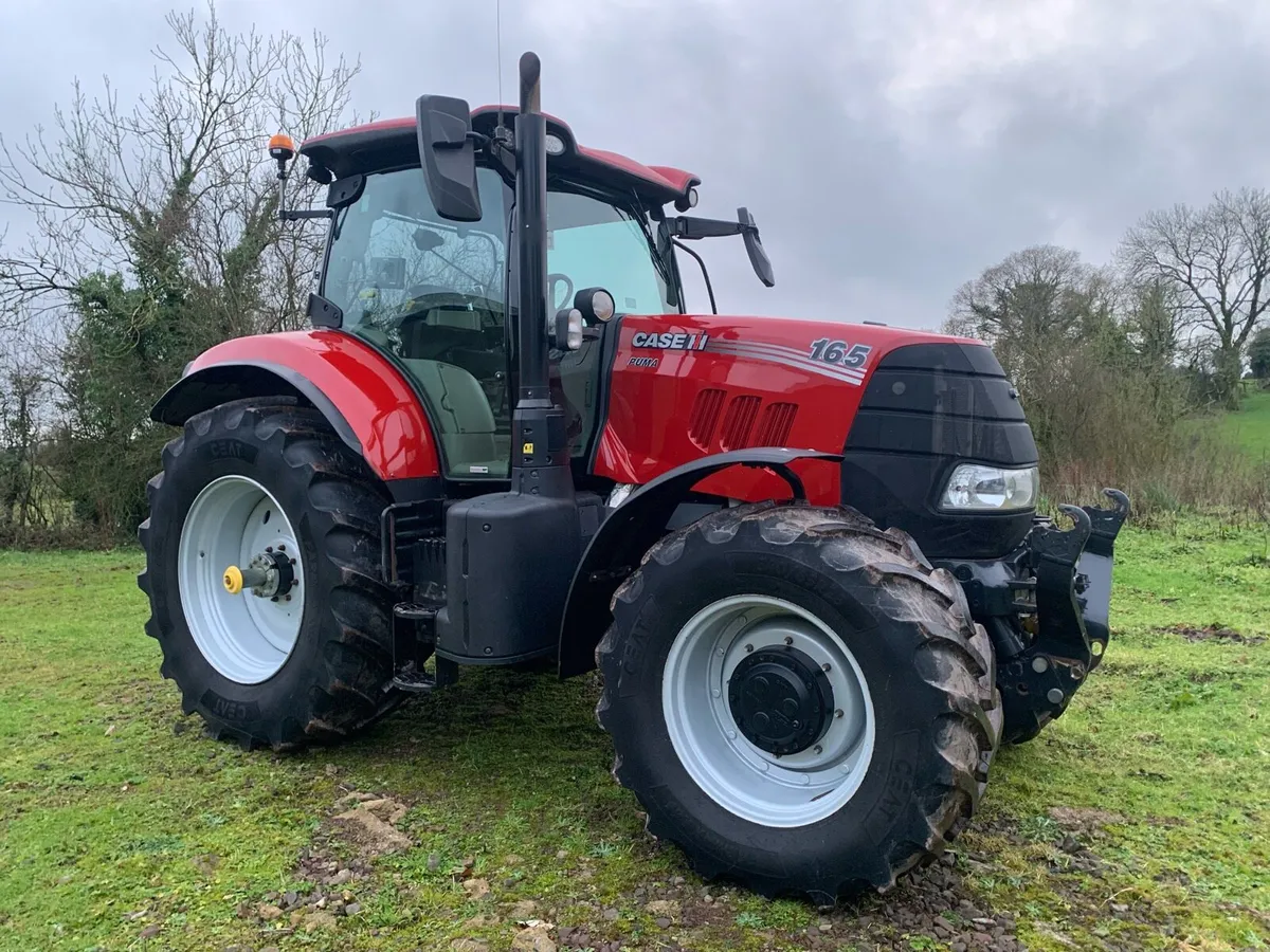 19 Case Puma - Image 1