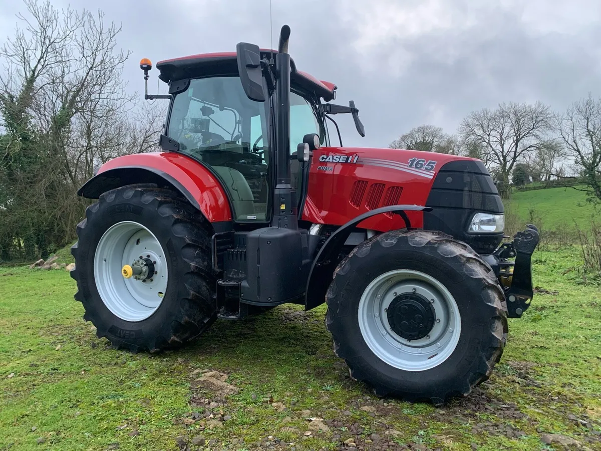 19 Case Puma - Image 2