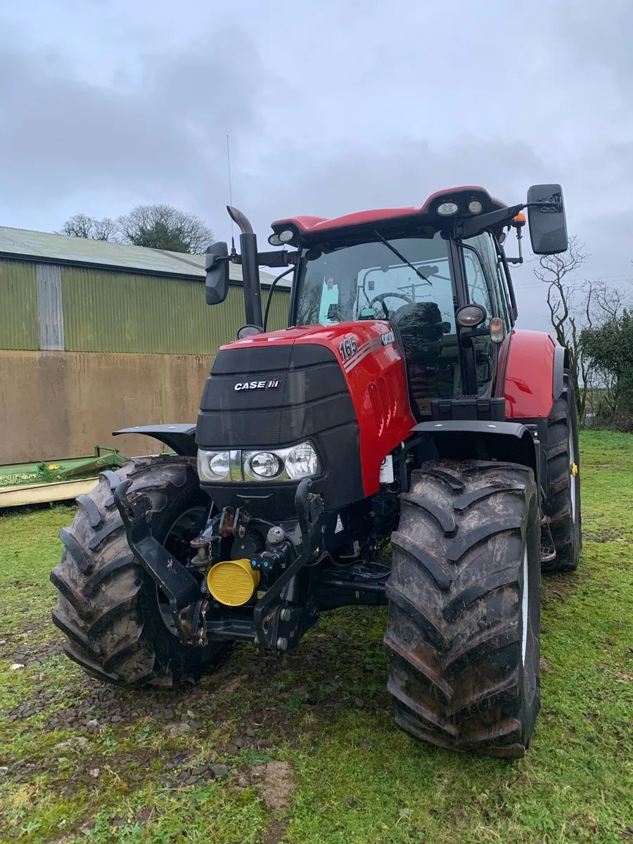 19 Case Puma - Image 4