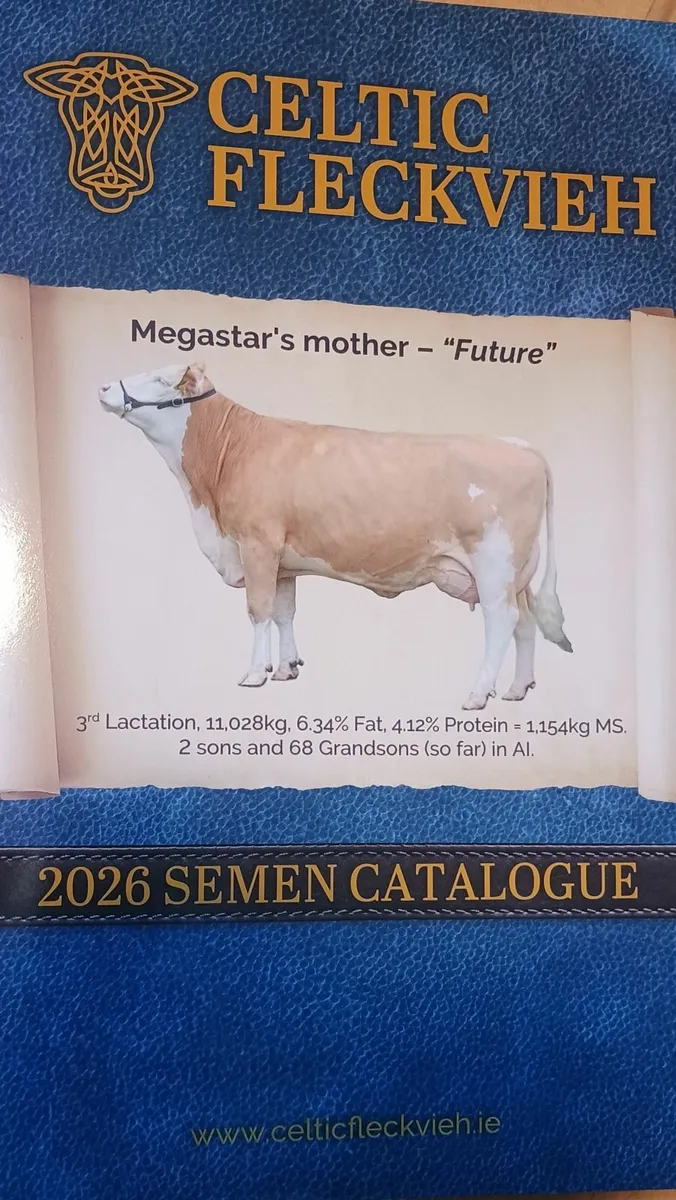 Fleckvieh Semen - Image 1