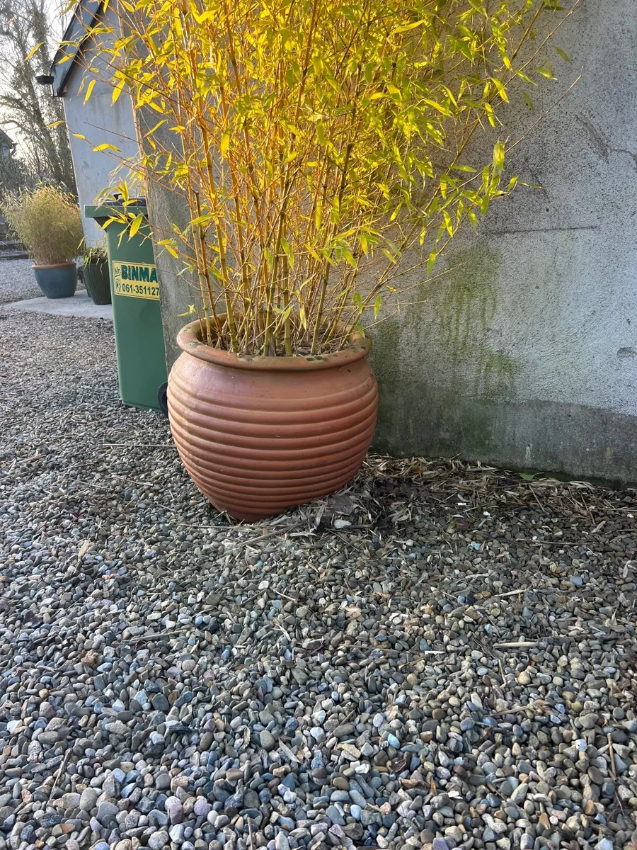 Garden pot
