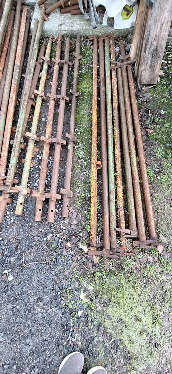 Scaffolding - Image 3