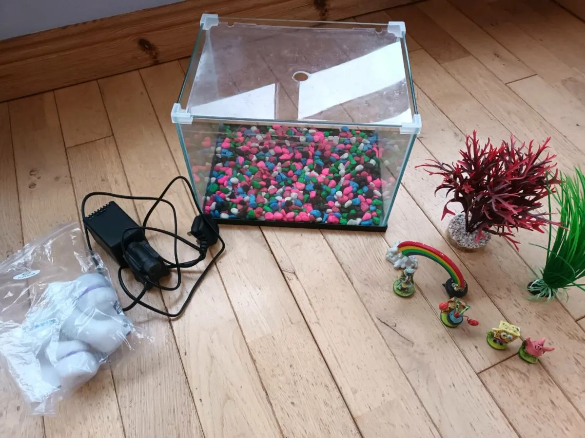 Fish tank and assesories - Image 1