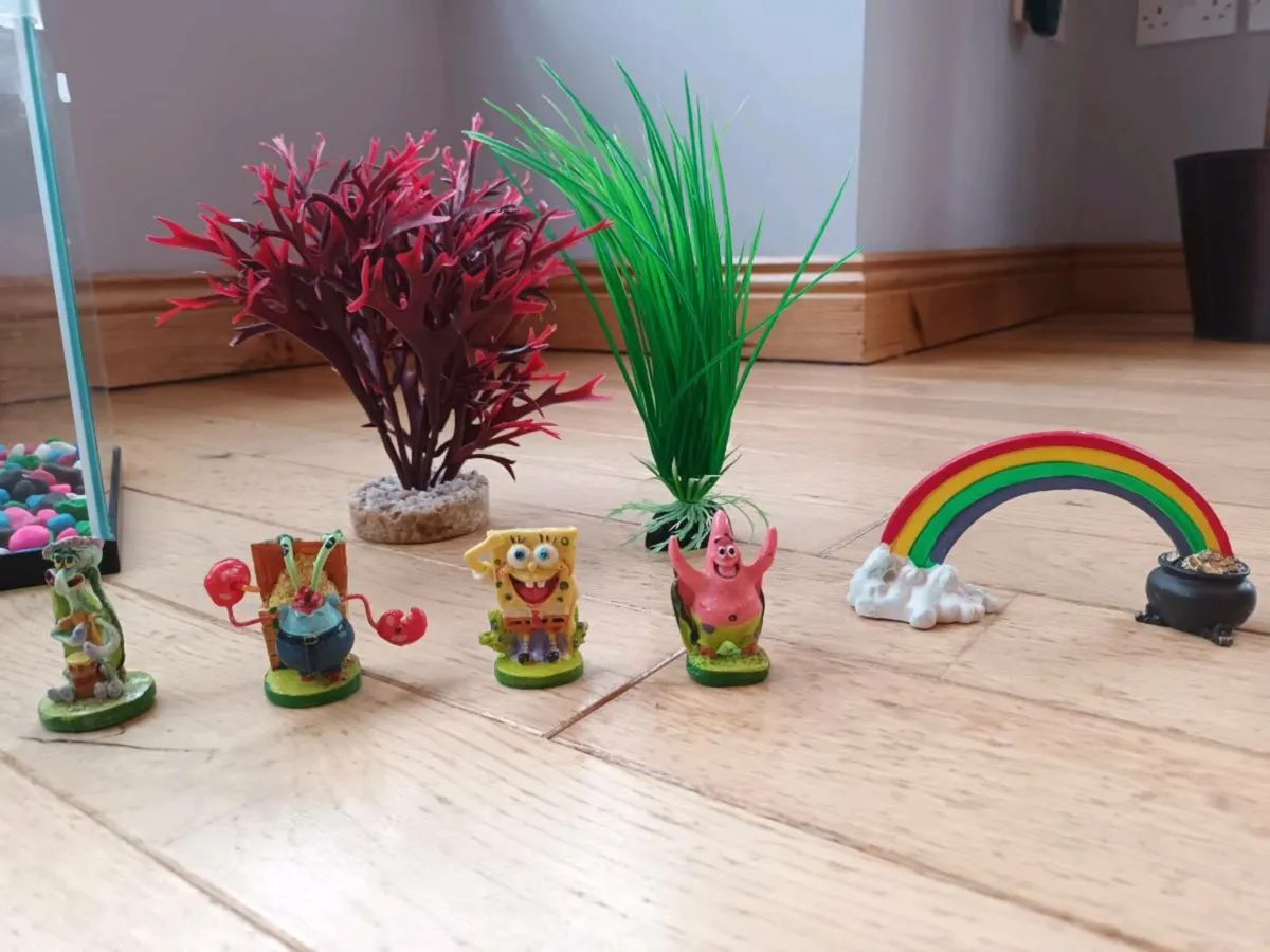 Fish tank and assesories - Image 2