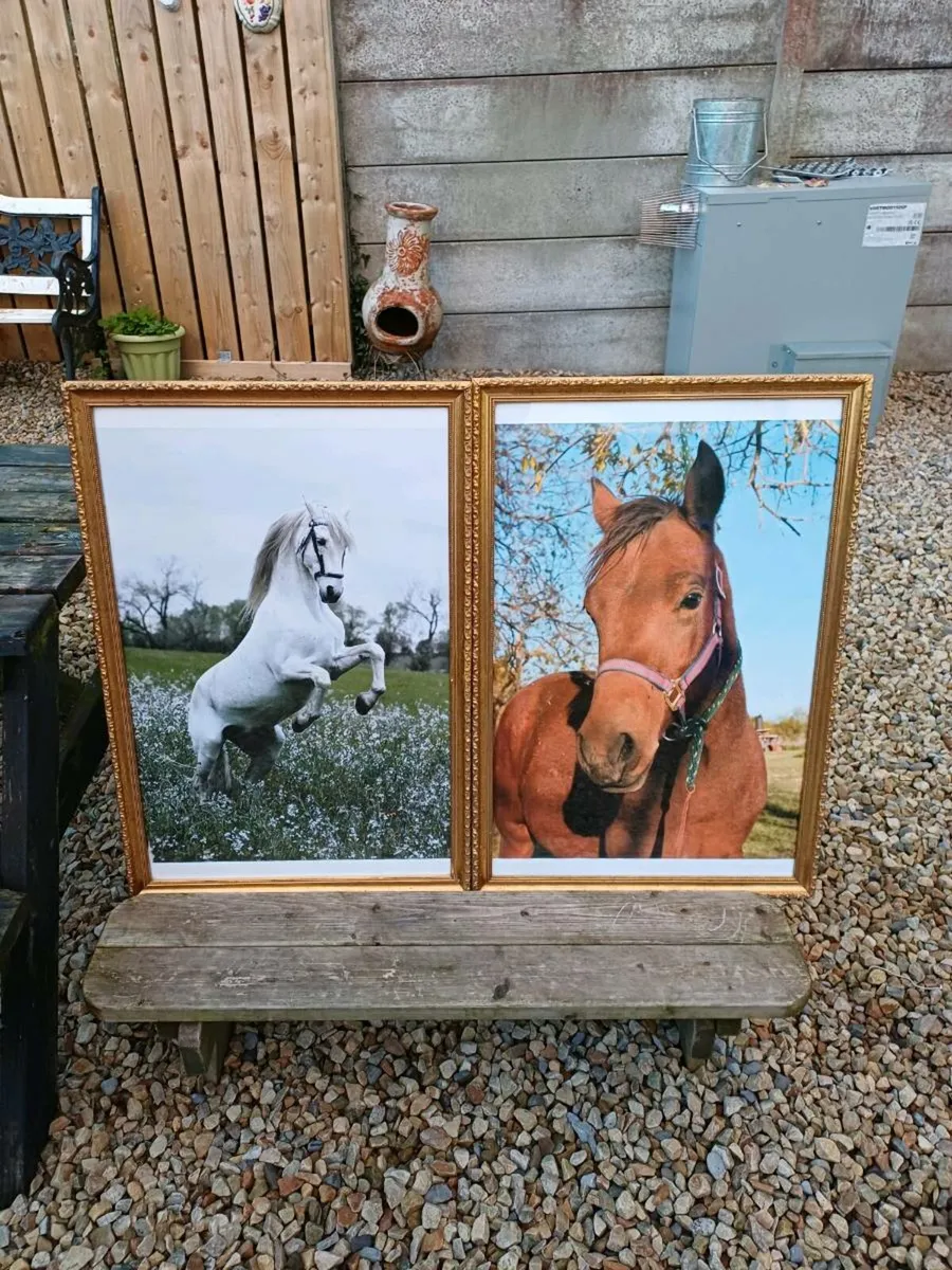 Large Vintage Equestrian Pictures - Image 3