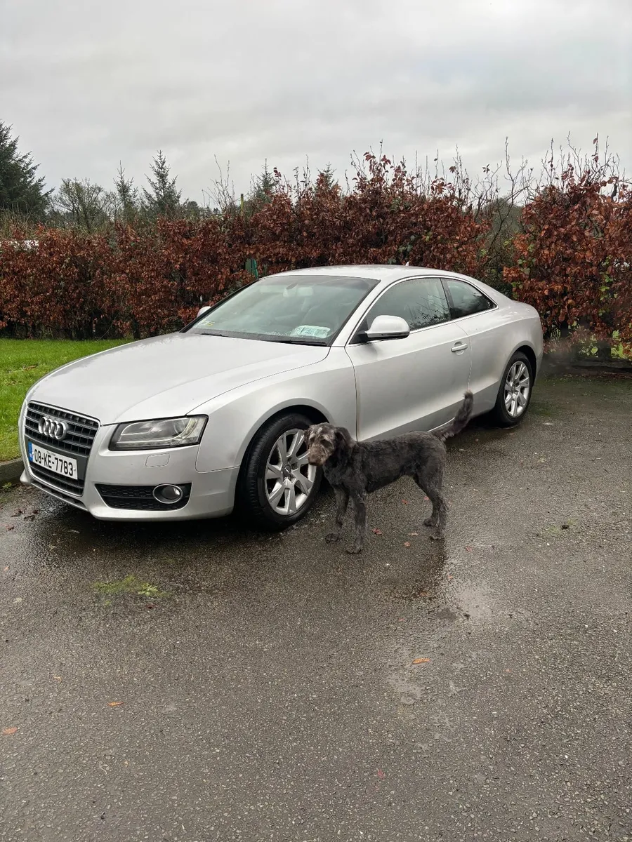 Audi A5 2008 - Image 4