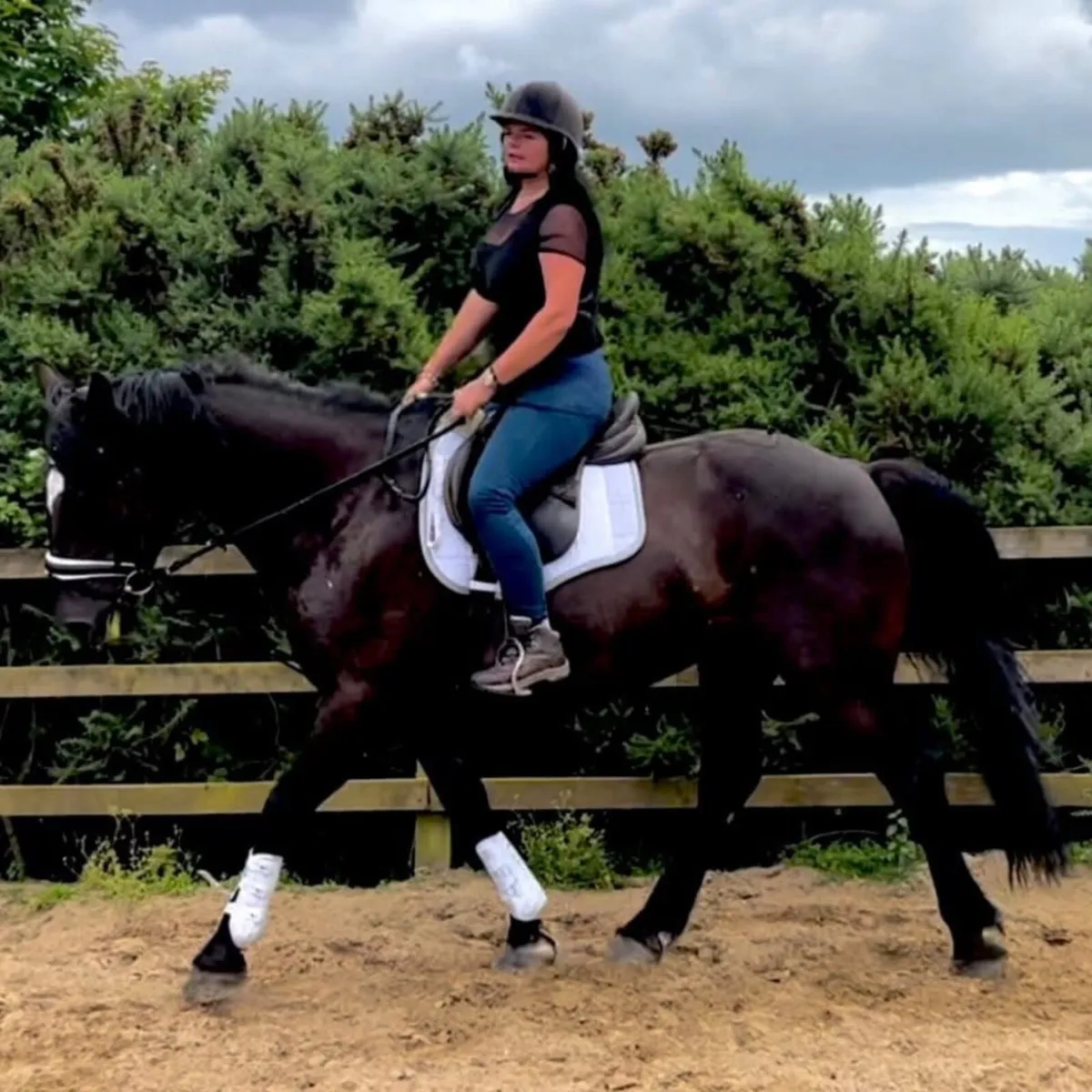 Livery-share 15.2 Connemara and 16.2 Irish Draught - Image 3