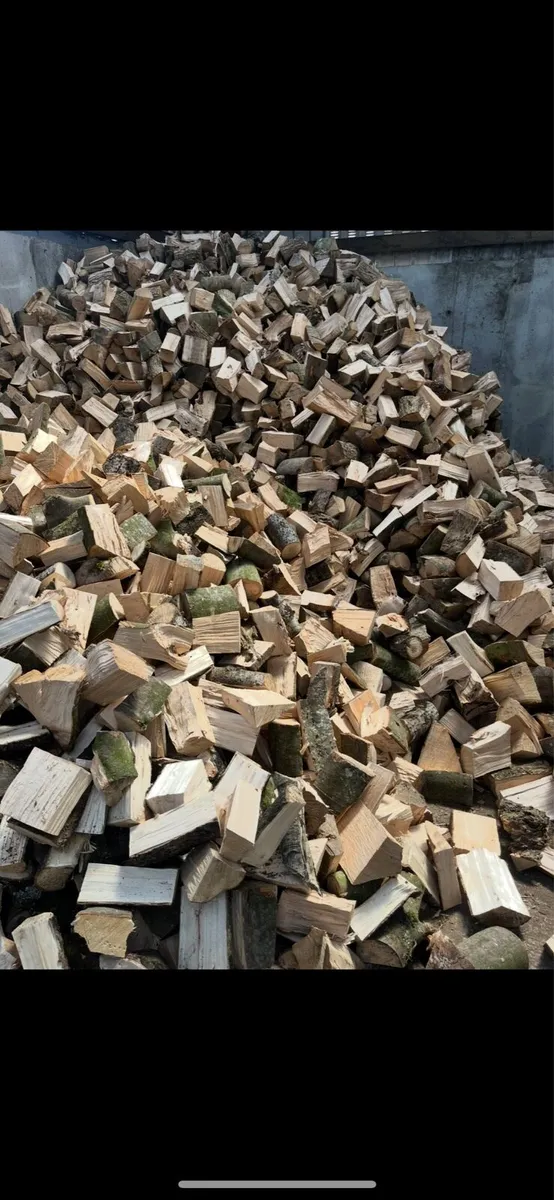 Firewood For Sale - Image 2