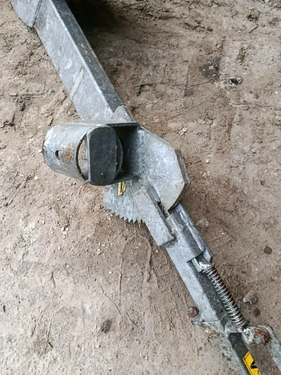 Cattle head scoop - Image 2