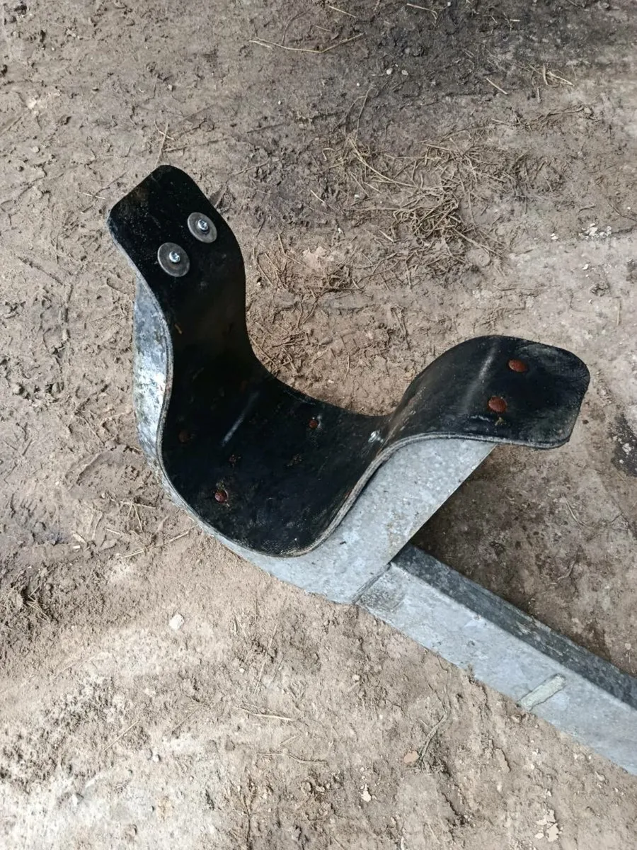 Cattle head scoop - Image 3