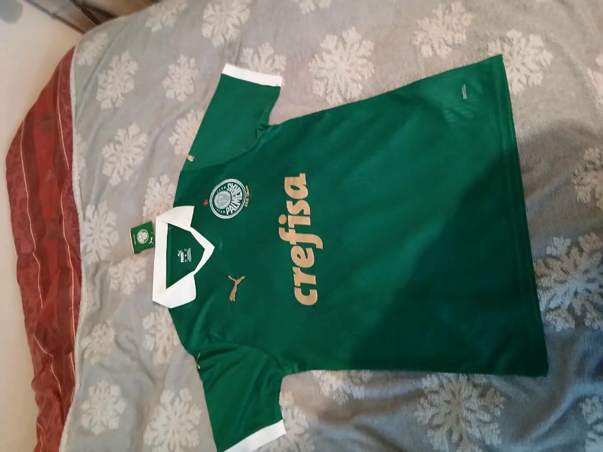Palmeiras jersey - Image 1