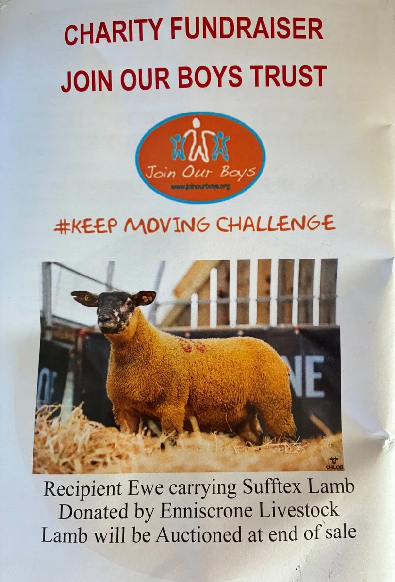 Charity Lot- Carrick Xmas Belles on Monday - Image 1