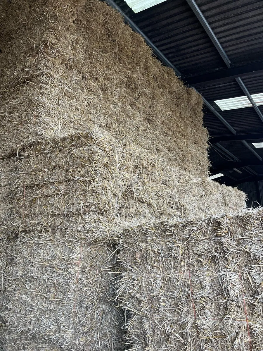 Small square bales in 14 bale packs - Image 1