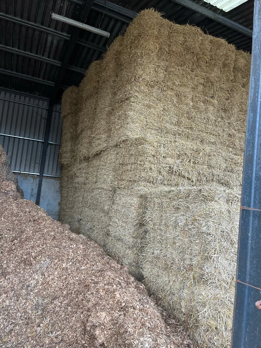 Small square bales in 14 bale packs - Image 3