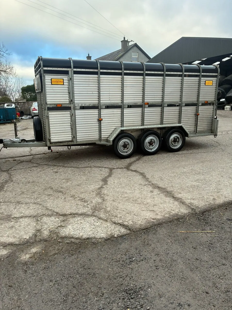 16ft potter cattle trailer - Image 1