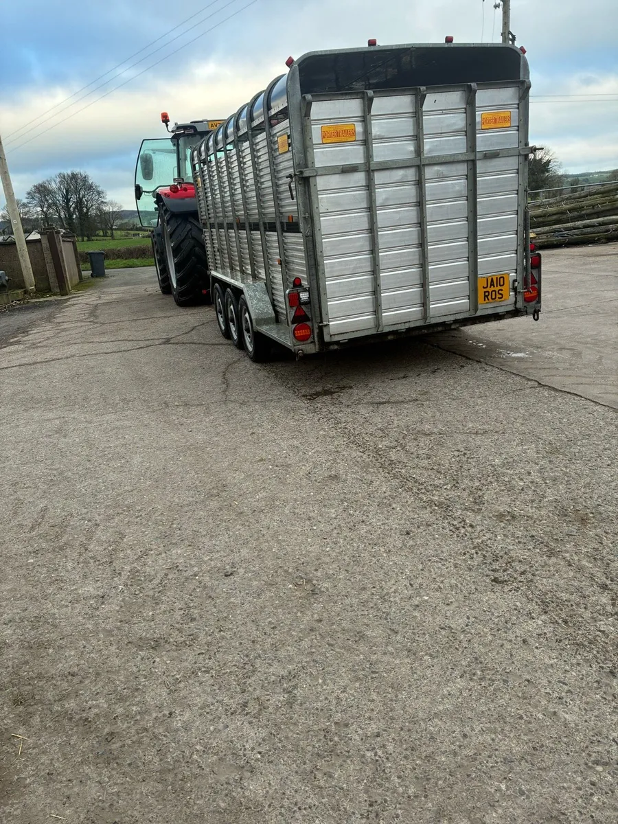16ft potter cattle trailer - Image 2